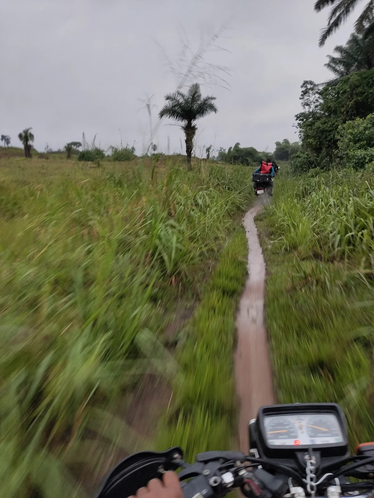 A path across an open landscape at the tropical forest boundary