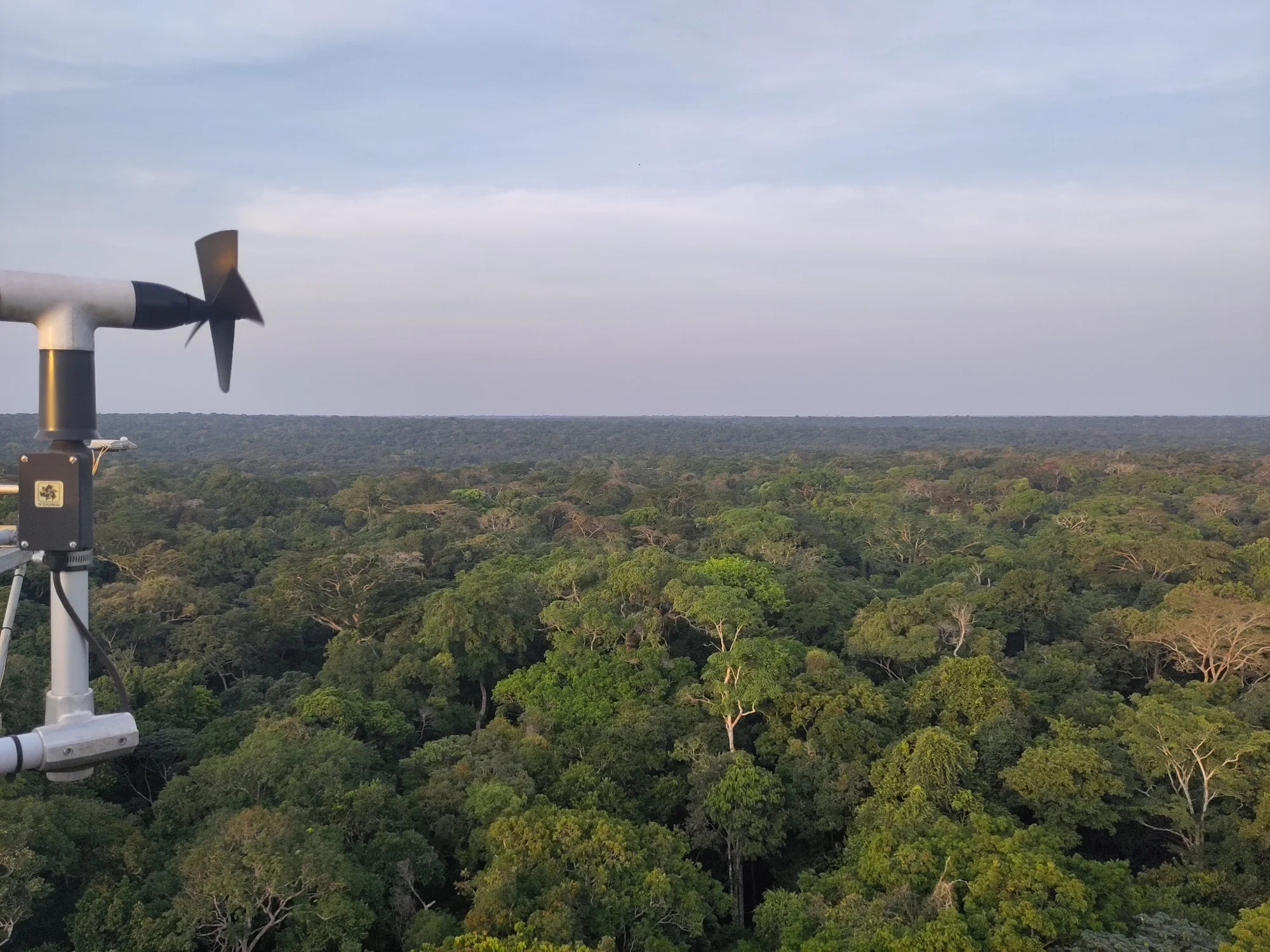 Flux monitoring instruments above the forest